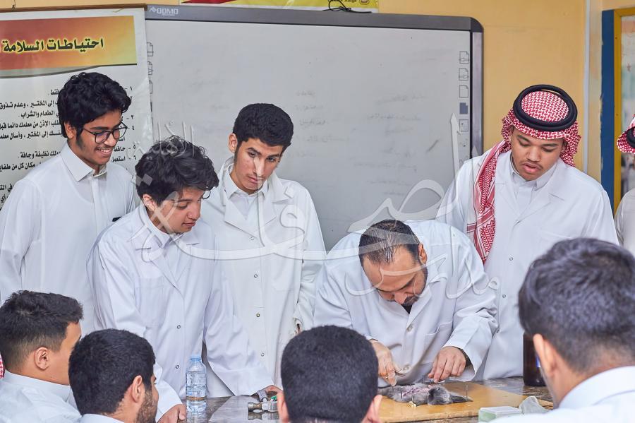 تطبيق عملي ( تشريح أرنب )